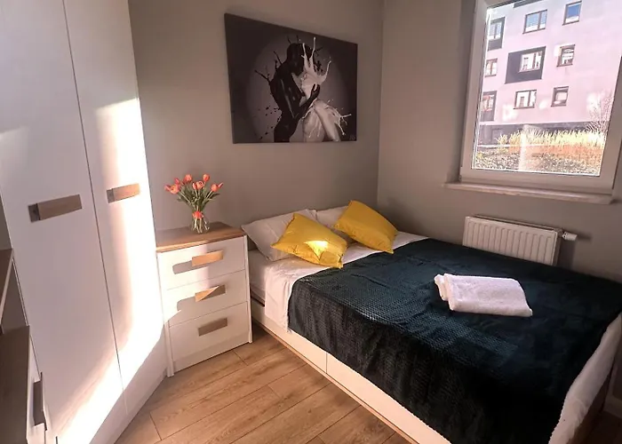 Cityline Nova Ochota *